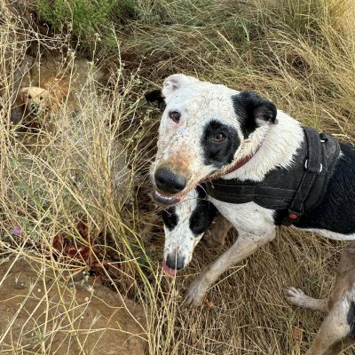 476155444_596614826463535_2835560068556130679_n