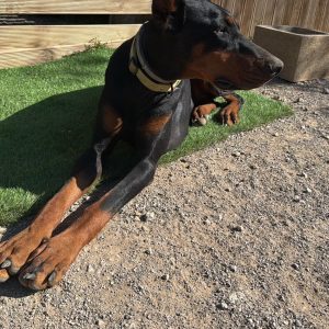 488942081_642144611910556_2473550889652418121_n