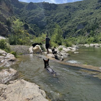 499666144_672954182162932_1329801612355181360_n