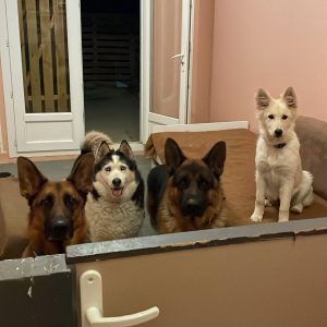 530493721_737530389038644_7327859543066366627_n