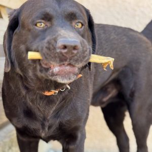 612918429_854603140664701_2245585366924175991_n